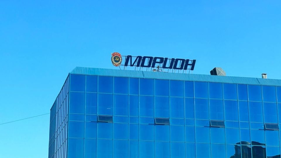 � �������� ���������� Morion Digital �������� �����������