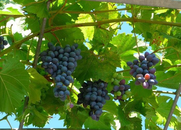 ��� ��������� ������ ��������� ��� ����� �� ����