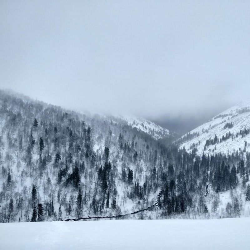 ���� �������� �� ���������� ������� � �������� ����