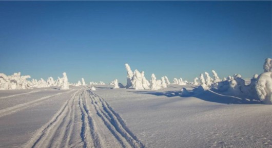 ������ ��������, ��������� � �������� ����, ������ ���� ��������� �� ����� ������� ����� ���� �����