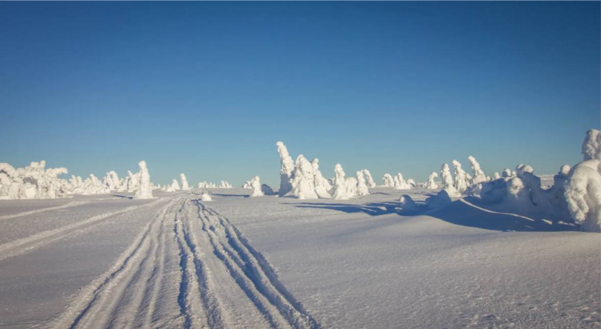 Пятеро туристов, пропавших в Пермском крае, должны были подняться на плато Кваркуш шесть дней назад