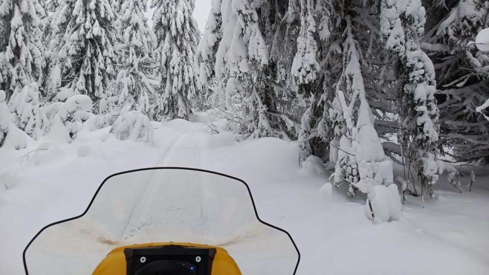 ������ �������� �� ���������� ������� � ��������������� ������