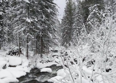 � �������� ���� ���� ������� ��������, ������ ����� ������������� � ����� �� ����������