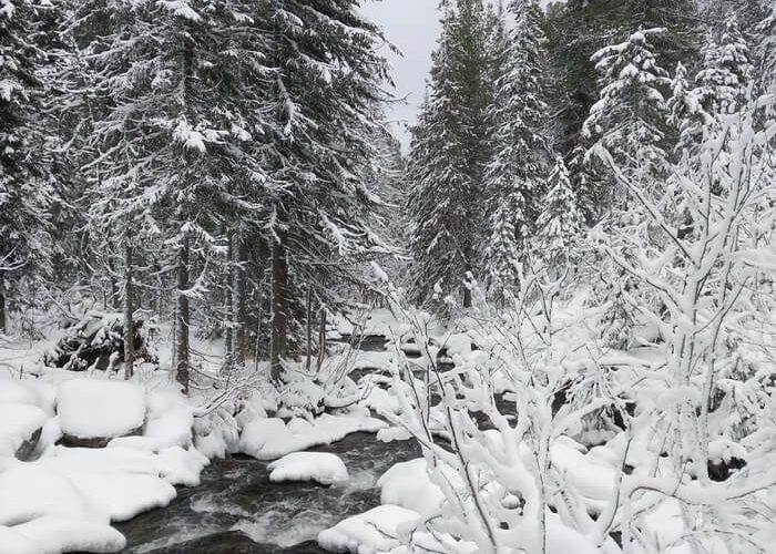 В Пермском крае ищут пятерых туристов, неделю назад отправившихся в поход на снегоходах