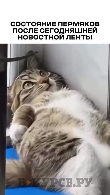 �������� ������� �� �� �����.��