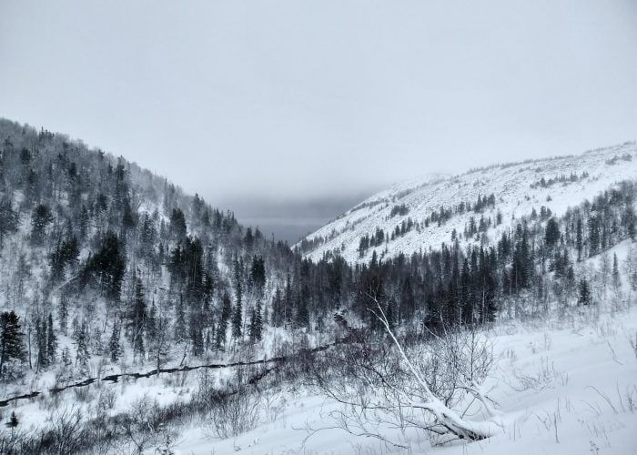 ������� ������� ���� � ����� ����� � ������ ������� �� ����� ������� �� ����������, ����������� "������" � ������ "���� �����"