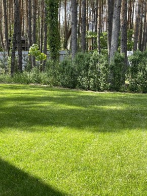 �����-���������: ������ ������� ����� ������ ��� ������ ������