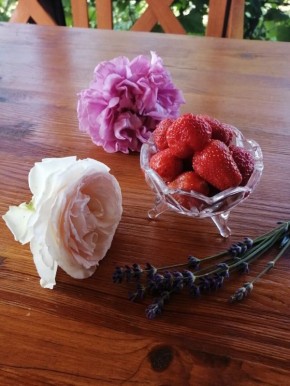 Июль в саду: что нужно сделать и какие неожиданности ждать