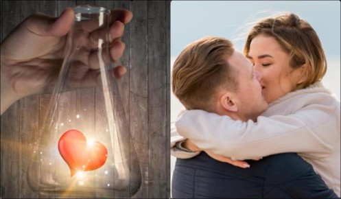 ��� �������� ������� ��������� ���������: �������� �������, ������� ������ ��������