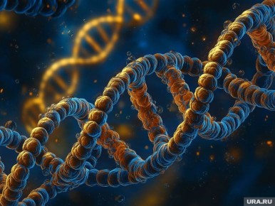 ������ ���������� ������� ��������� � ������������� �������