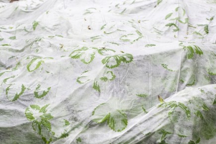 ��������: ������� ������ � ����������