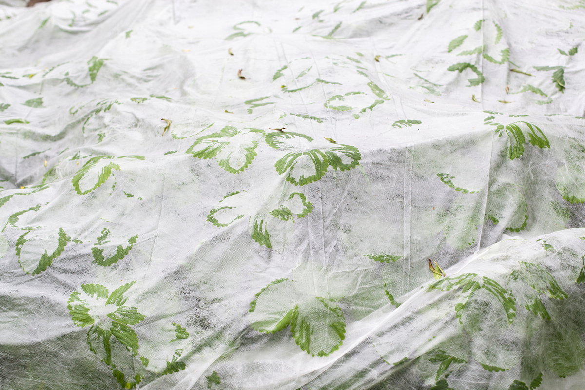 Спанбонд: секреты выбора и применения