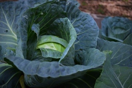 ��������� ��������� �������: ��� ���������� � ������������� �����