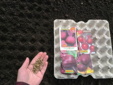 ��� ����� �������� ����������� ������ ������ � �������