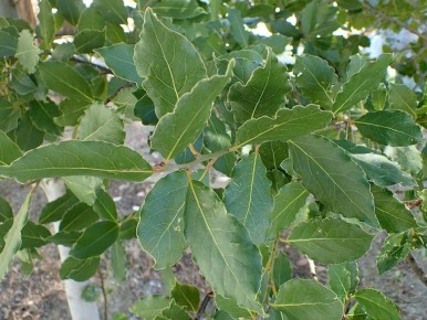 ���� � ����: ������ �������� � ������ ������