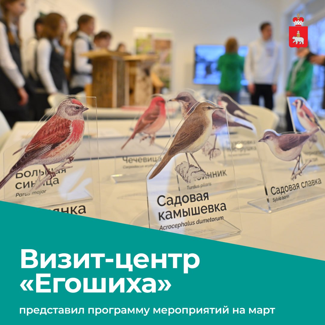 В визит-центре «Егошиха» представили программу мероприятий на март