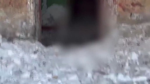 ������ ������������ � �������������: ����������� ���������� �������� ������������ ��������-������������� ����������� ������������ �������