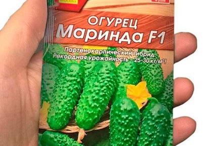 ������ ������� F1: ������� ��������� �����������