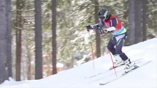 � �������� ���� ������� ����� IV ������ ����������� ����������