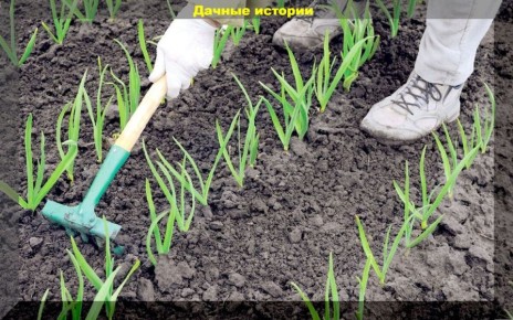 ����� � ����: ��� ������������� ���������� ������� ������� �������