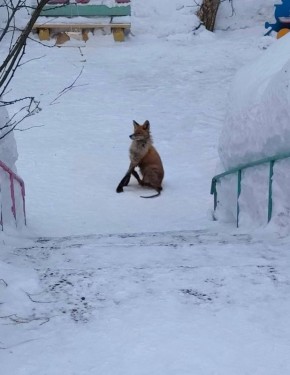 ������������ ���� �������� ������� �� �����