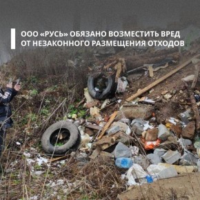 Западно-Уральское межрегиональное управление Росприроднадзора рассмотрело обращение о возможных нарушениях природоохранного законодательства вдоль автодороги Пермь – Усть-Качка в Пермском крае
