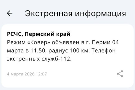 В Перми объявлен режим «Ковер» и введены ограничения в аэропорту