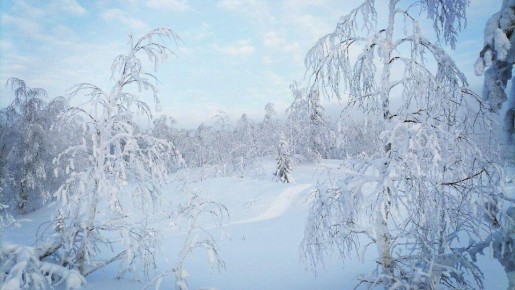 ���������� ������ � ����� ����������� �� ��������