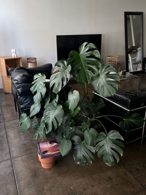 ��������: ����������� ������, ������� ���������� ��� ��������