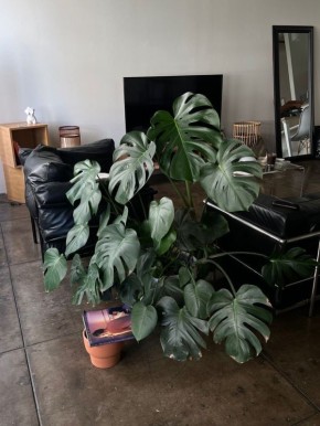 ��������: ����������� ������, ������� ���������� ��� ��������