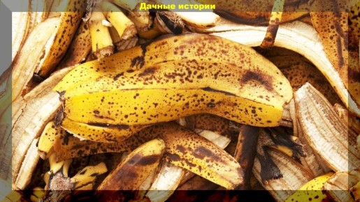 ��������� ������� ������������� ��������� ������ �� ����