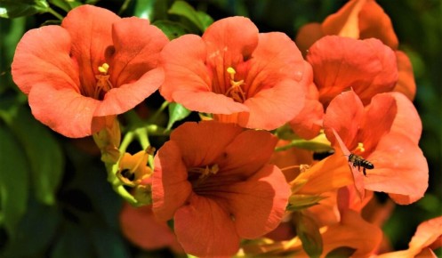 ����� ��������: �������� ����� ������ ����