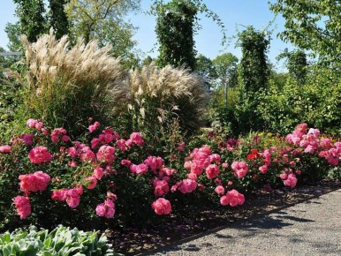 ������ �������� ������� 2025: ��� ������� ���������� ������ �������