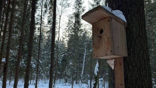 ���������� ���������� ������ � ��������