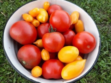 ������ �� ��� ����: ������ ����� � �������, ��������������� ����������