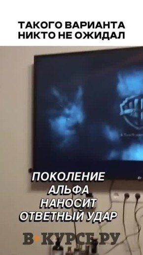 «Вечернее веселое» на «В курсе.ру»