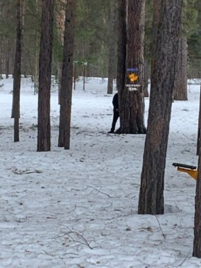 Онанист был замечен в Черняевском лесу, сообщают очевидцы в соцсетях