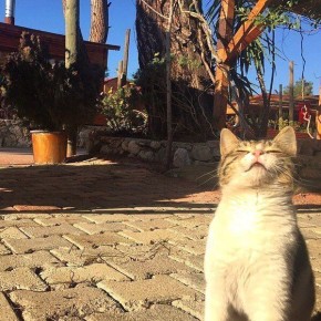 ������� ������������� ������ ������ ������������ � �����!