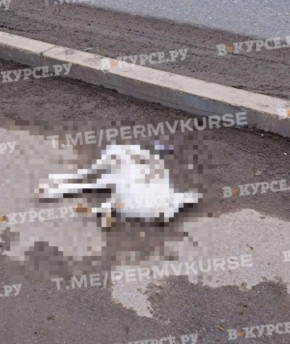 �������� ��������, ��� �� ������������ ����� �����