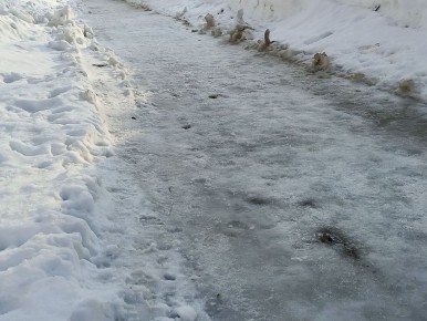 ������ ����� �� ������� �������� ��������� ����������