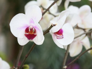 ��� �������������� ����� �������� �������� ��������� ������