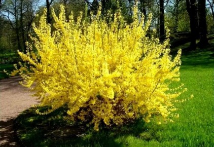 ��� ������� �������� ��� � ���������� ������������