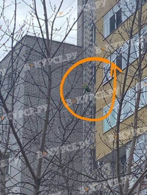 ������� ������� ���� ���� ����� � �������� ������