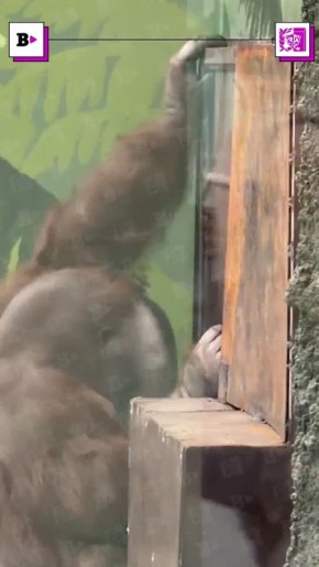 Общение Билла и Лизы с каждым днем становится более тесным