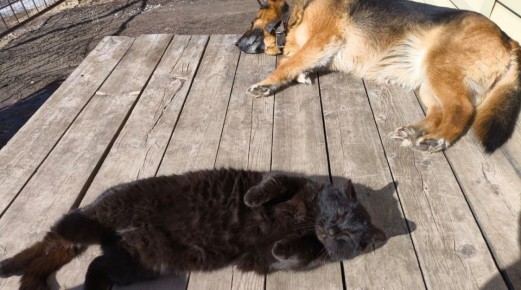 +18 �������� ��������� � ����� ������ � ��������