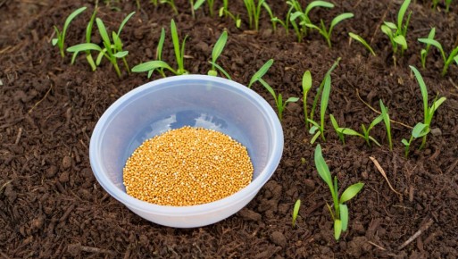 ������� ������� ��� �����: ��� �������� ������� ������