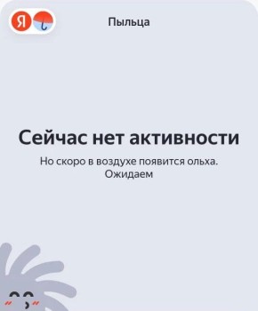 Активное и опасное для аллергиков цветение ольхи началось в Пермском крае