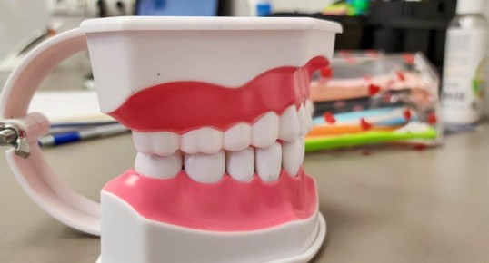 ��� ��������� ��������� �� ������: ������ �� ����������������