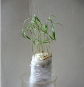 ������ ����� ���������� ����� ����� �������: ���� � ����������