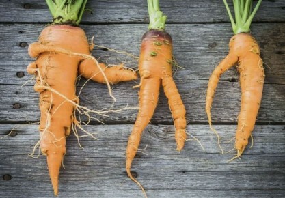 ������ ������� ���������� ������� � ��� ����� ��������?